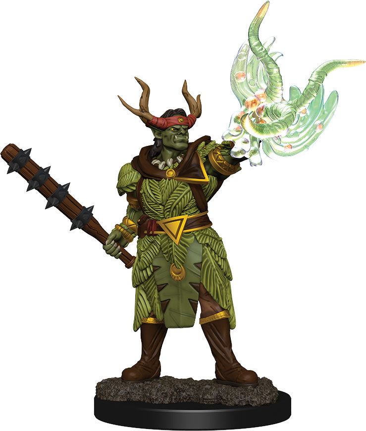 Pathfinder Premium Figure: Half-Orc Druid Male