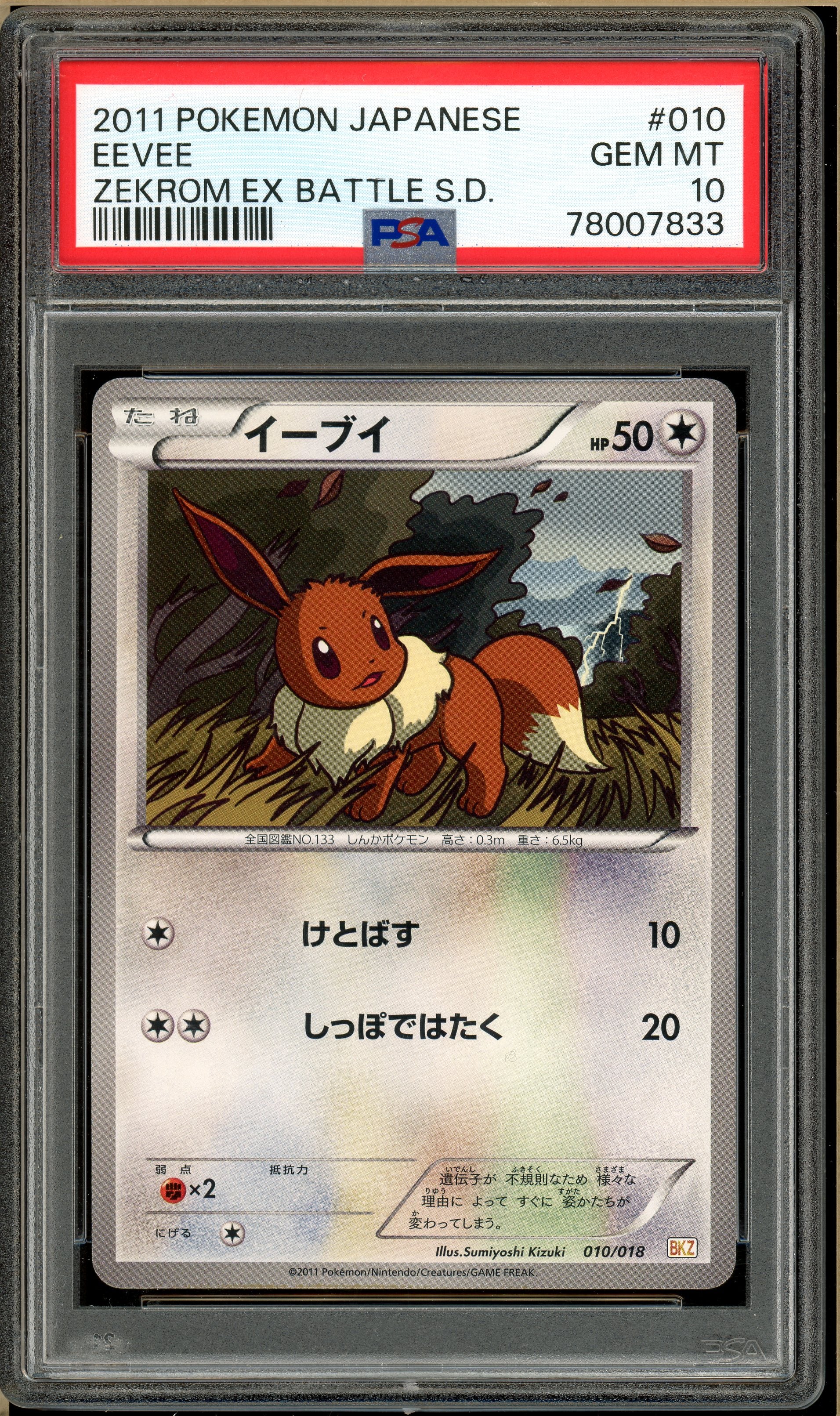 Over the Brick Pokmon - Eevee Zekrom EX Battle Strength Deck #10 PSA 10 Over the Brick Pokmon - Eevee Zekrom EX Battle Strength Deck #10 PSA 10
