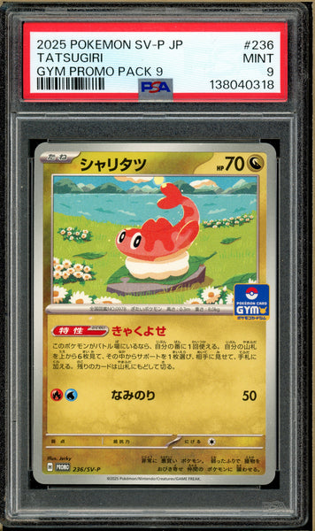 Over the Brick – Pokémon