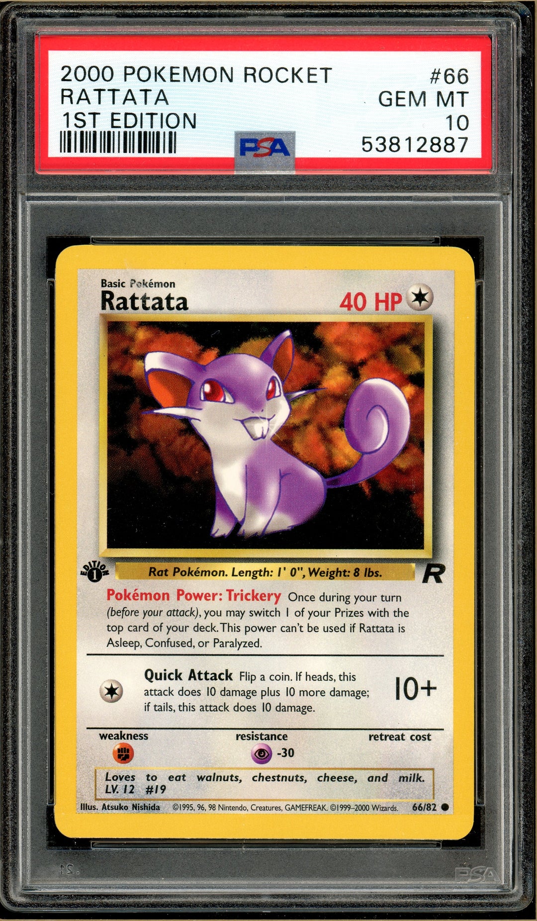 1995 rattata pokemon card Over the Brick – Pokémon - Preserved in a tamper Pack Art:Aerodactyl (Unsearched) otj 28 Different Pokémon Cards