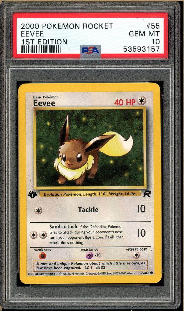 Over the Brick – Pokémon - Eevee