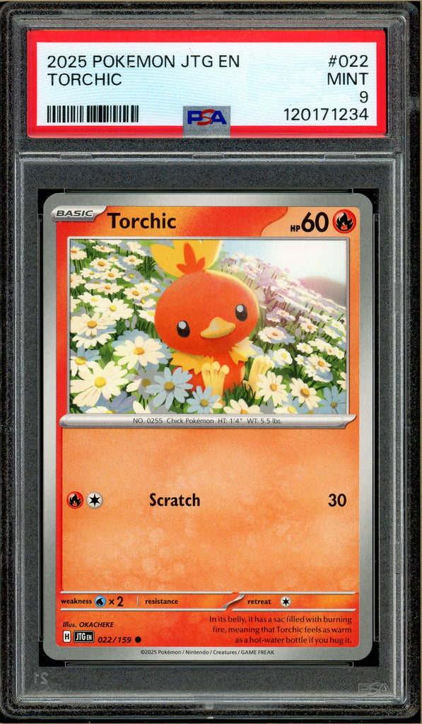 Pokémon -Torchic, Journey Together #022 PSA 9