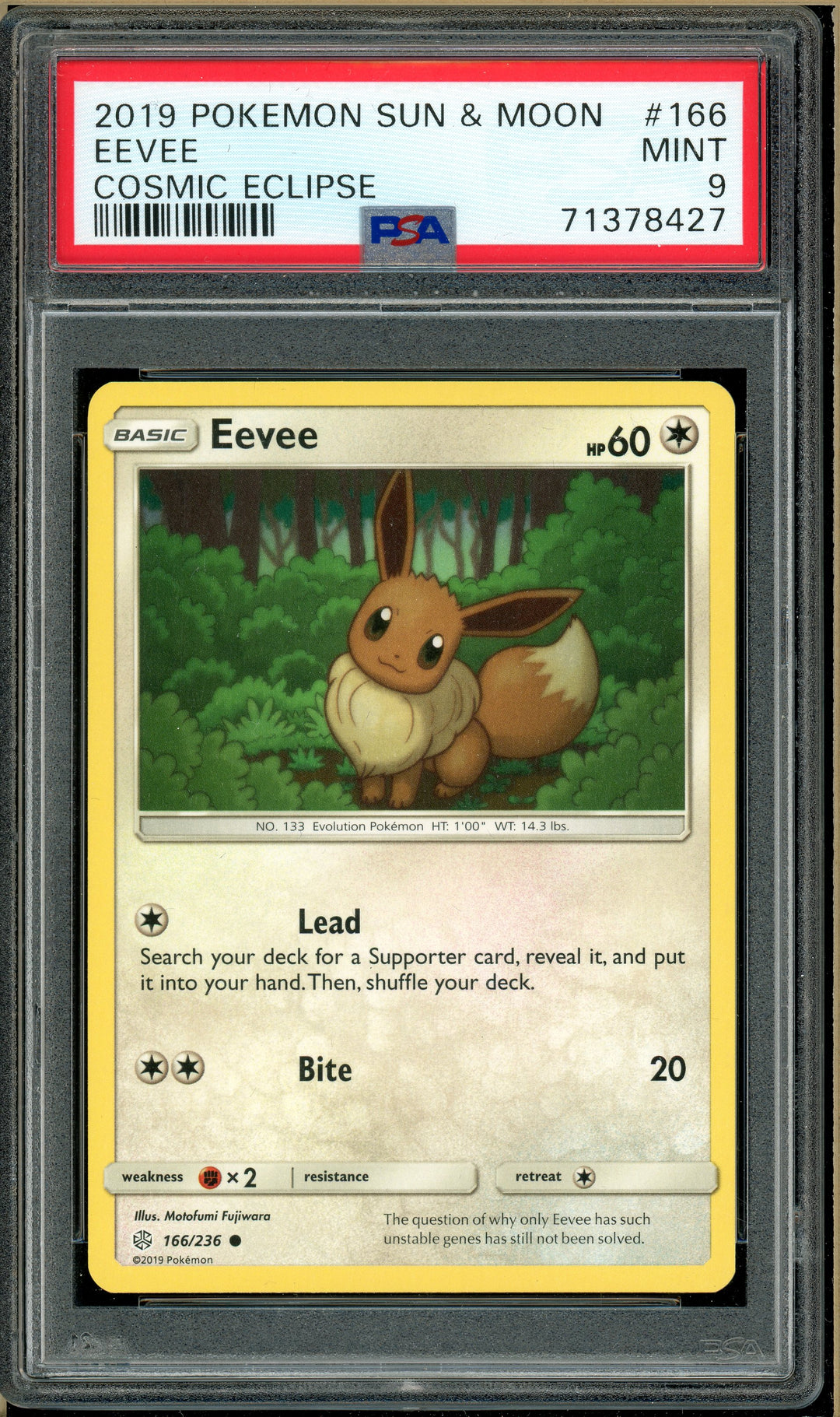 2019 eevee pokemon card Over the Brick – Pokémon