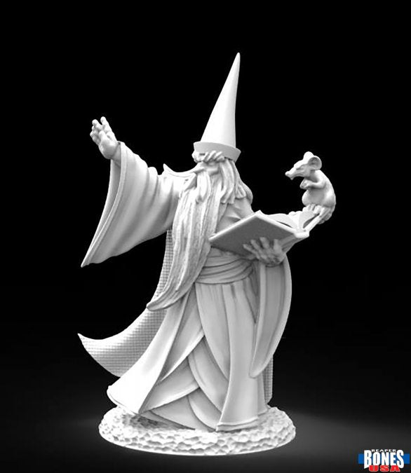 Reaper 30002: Darius the Wizard, Dark Heaven Plastic Miniature