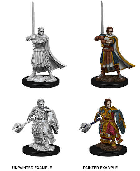 D&D Nolzur's Marvelous Unpainted Miniatures: Male Human Cleric Painted Example