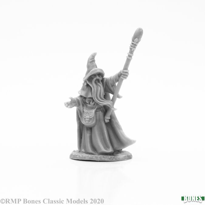 Reaper 77664: Arakasus Landarzad, Wizard, Dark Heaven Plastic Miniature