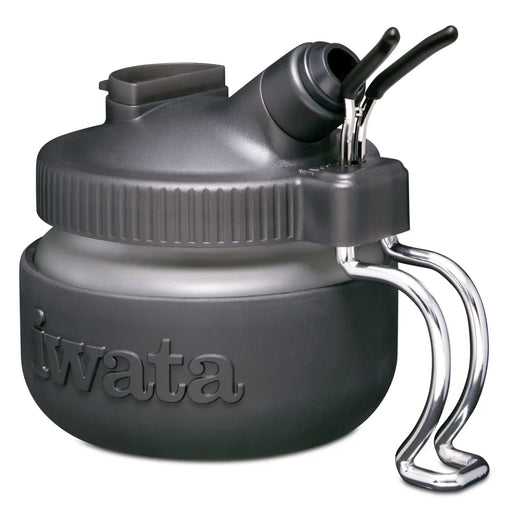 Iwata 10' Braided Nylon Airbrush Hose with Iwata Airbrush Fitting and 1/4  Compressor Fitting: Anest Iwata-Medea, Inc.