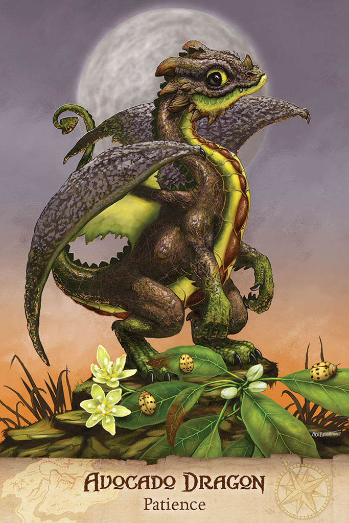 Field Guide To Garden Dragons Avocado Dragon