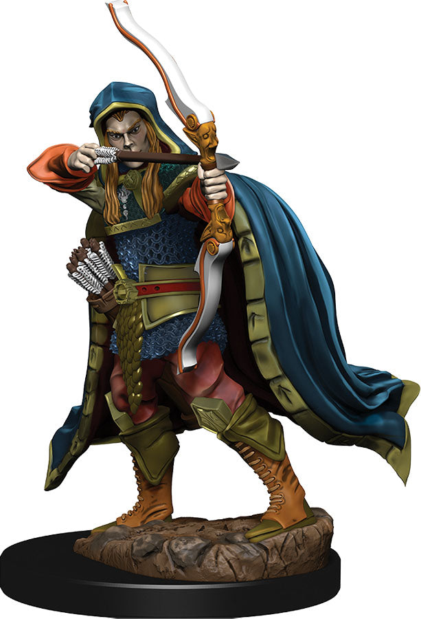 D&D Premium Figure: Elf Rogue Male