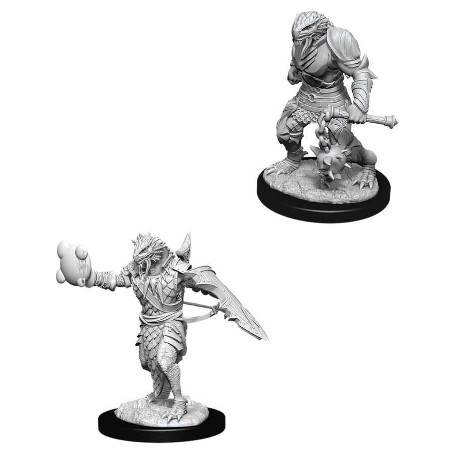 D&D Nolzur's Marvelous Unpainted Miniatures: Male Dragonborn Paladin